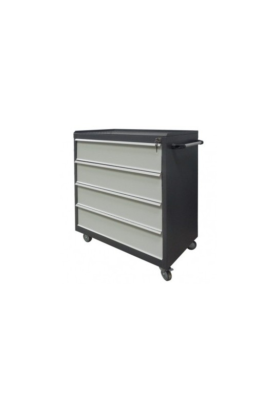 Візок інструментальний SzwN 301-4S