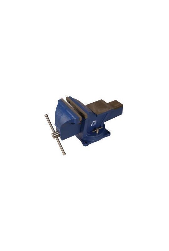 Тиски настольные в комплекте с поворотной плитой Holzmann WBS 200N