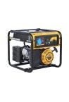 Бензиновый генератор PEZAL PGG3100X